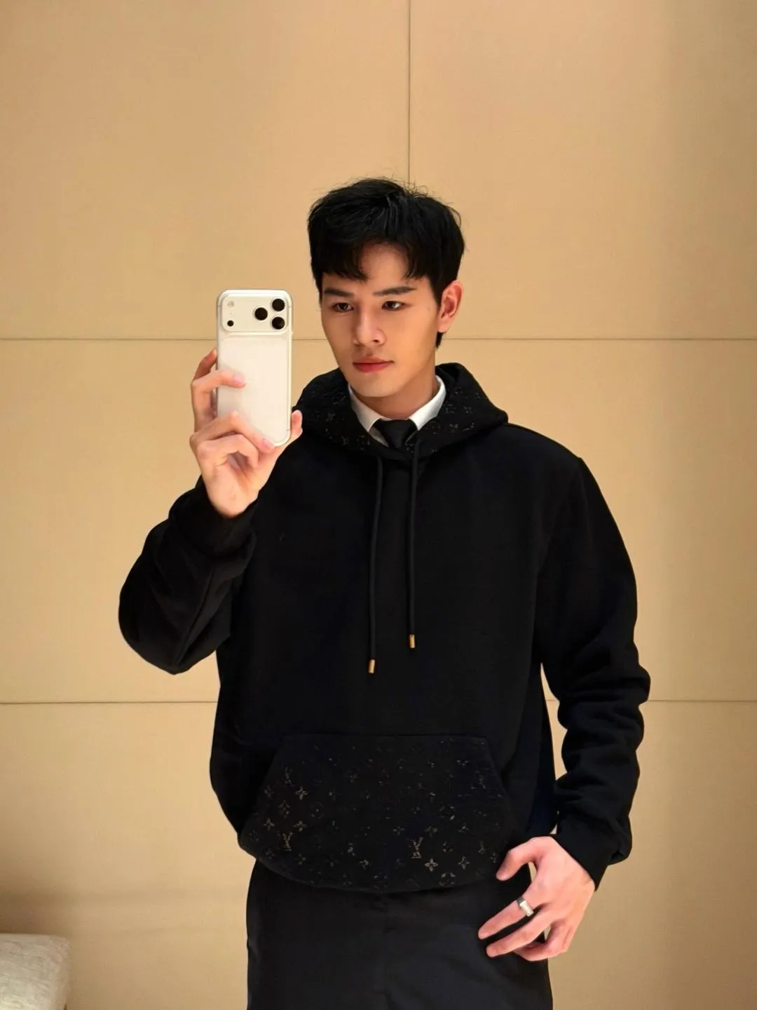 Louis Vuitton/Louis Vuitton presbyopic embossed hooded sweatshirt